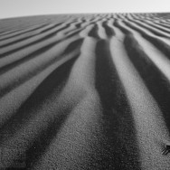 20110115023747_20110101-013.jpg